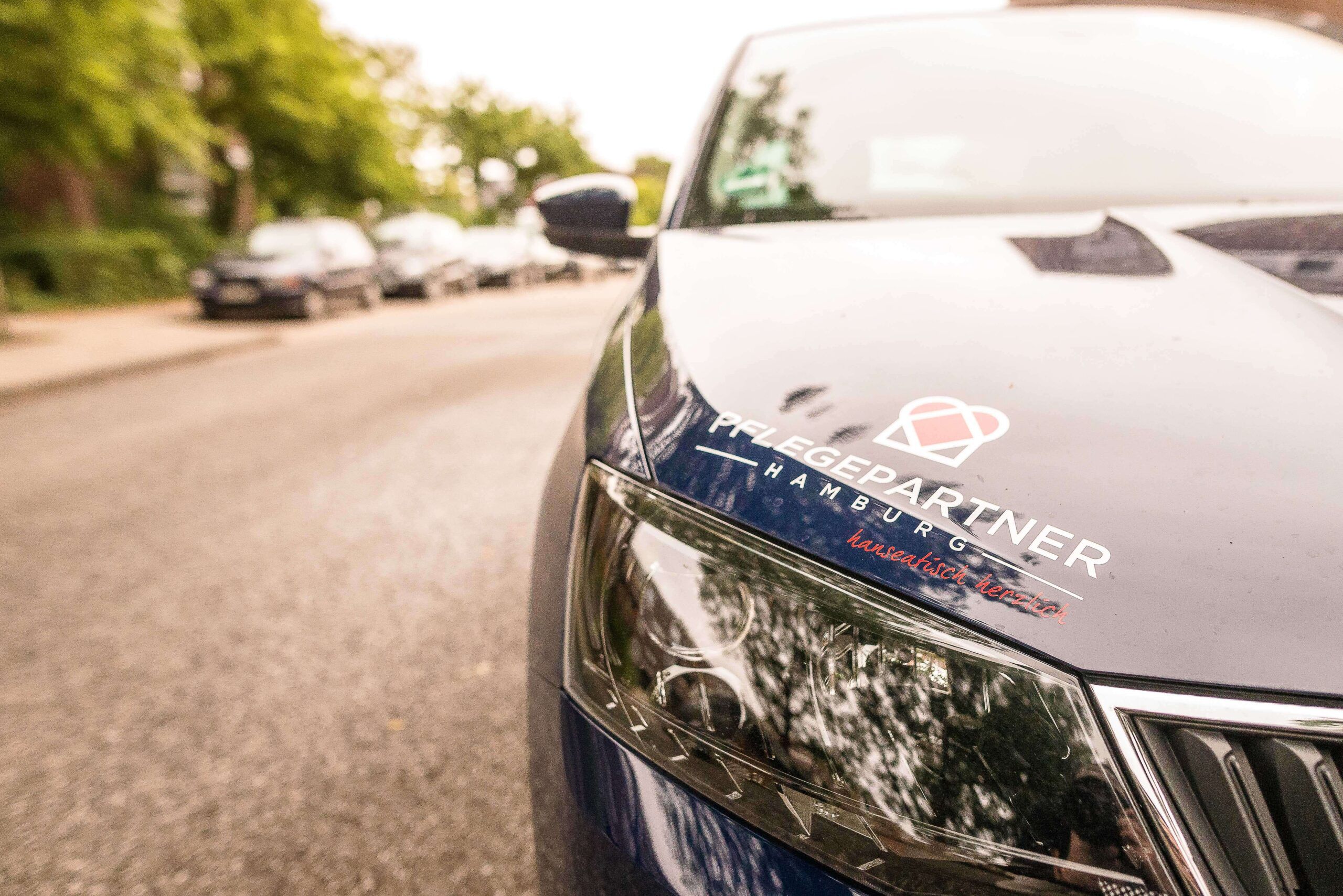 Pflegepartner Hamburg PPH GmbH